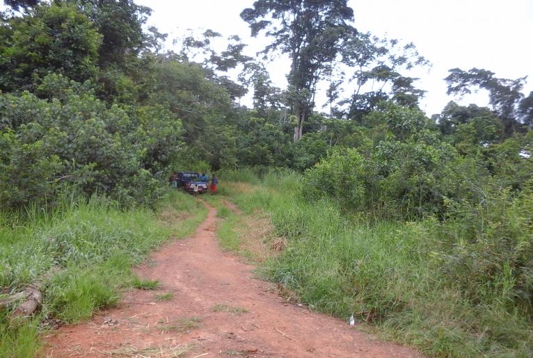 CENTRE Akonolinga 500 Hectares de Terrain agricole à Louer à Mengang /Cameroun