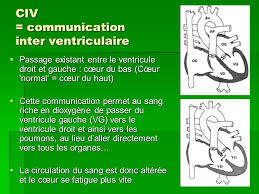 CENTRE Yaoundé Communication interventriculaire