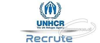 ADAMAOUA Ngaoundéré UNHCR CANADA RECRUTE DES JEUNES DIPLOMES EN INFORMATIQUE
